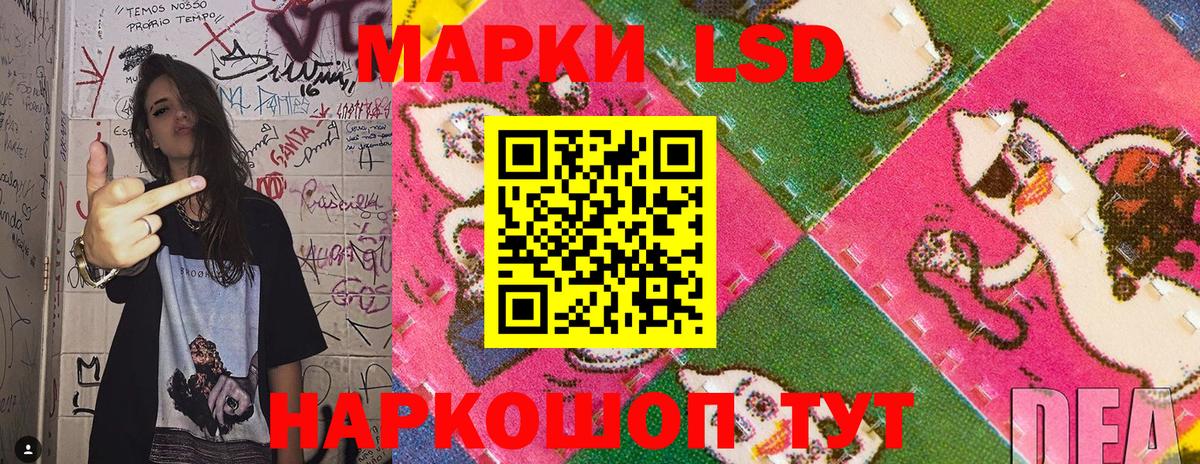 Бошки Шишки  Alpha PVP СОЛЬ кристаллы  Магадан  Вход с VPN  Меф кристаллы  Меф  Кокаин  Купить наркотик 