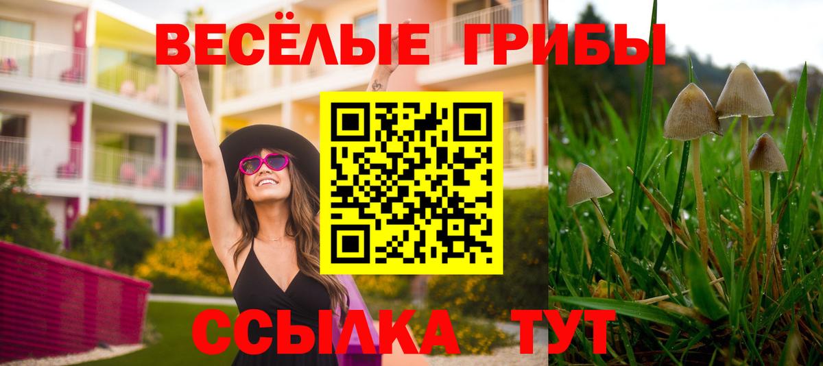 Псилоцибиновые грибы мицелий  Вход с VPN  Псилоцибиновые грибы MAGIC MUSHROOMS  Магадан 